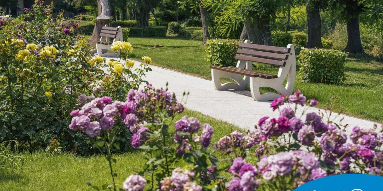 Proiectarea zonelor de relaxare in parcuri publice Proiectarea zonelor de relaxare in parcuri publice