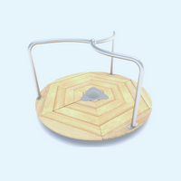 CaruseledinlemnRobiniaWood