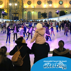 Patinoar Ecologic 300m2