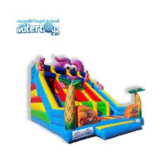 Tobogan gonflabil Dublu Caracatita