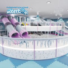 Amenajare completa de interior Frozen