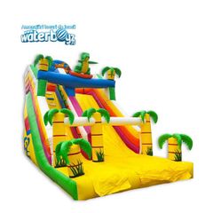 Tobogan Gonflabil Dino cu o panta