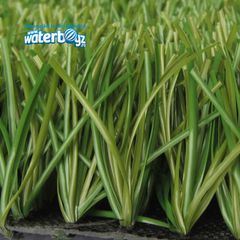 Gazon sintetic Duoinfill