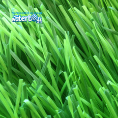 Gazon sintetic Olimpic