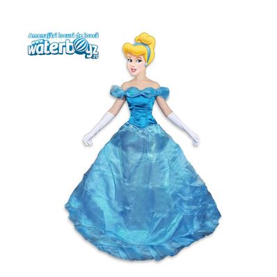 Cinderella Animation Costume