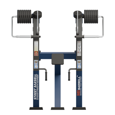 Aparat de fitness pentru spate Standard pentru exterior, 136x188x201 cm, otel inoxidabil