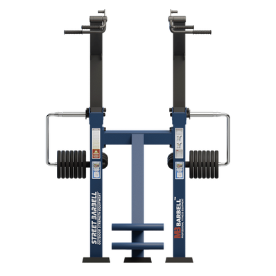 Aparat de fitness pentru tractiuni pentru exterior, 177x181x248 cm, otel inoxidabil