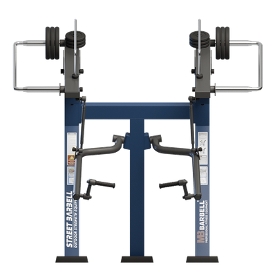 Aparat de fitness pentru biceps pentru exterior, 166x209x204 cm, otel inoxidabil