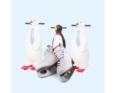 Patinoare ecologice