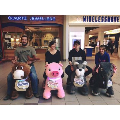Animal Rides