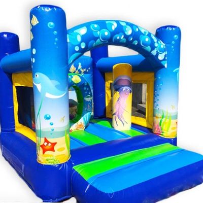 Deep Water Inflatable Castle