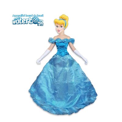 Cinderella Animation Costume