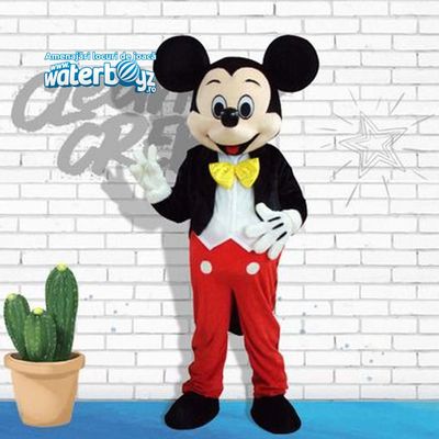 Mickey Mouse Animation Costume