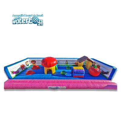 Mushroom Inflatable Playground