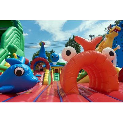 Octopus Inflatable Playground
