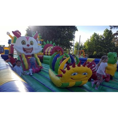 Inflatable playground model 7 13*7*5m