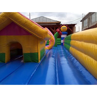 Donald Inflatable Playground