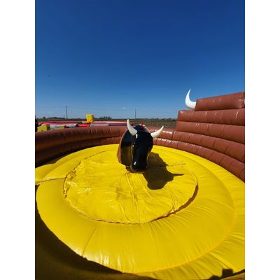 Inflatable Rodeo
