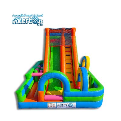 Animals World Inflatable Slide