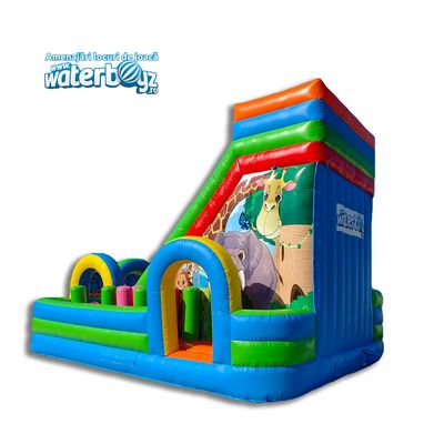 Animals World Inflatable Slide