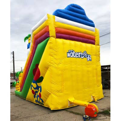 Dino Inflatable Slide with 2 slopes 12*6*10