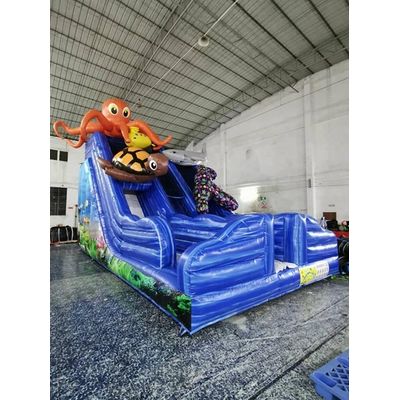 Ocean Inflatable Slide