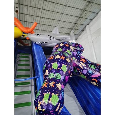 Ocean Inflatable Slide