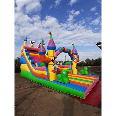 Disney Castle Inflatable Slide