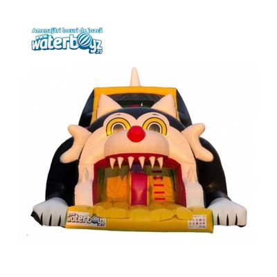 Cat Inflatable Slide
