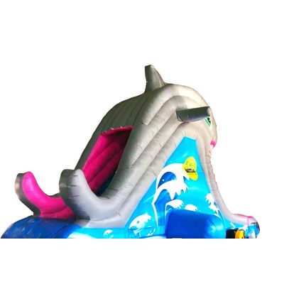 Shark Water Slide