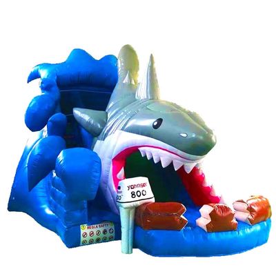 Shark Water Slide