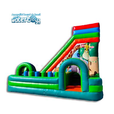 Animals World Green Inflatable Slide