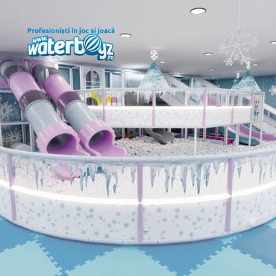 Complete interior playground arrangement Frozen