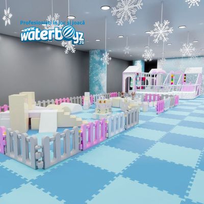 Complete interior playground arrangement Frozen