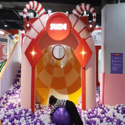Complete indoor playground Purple City