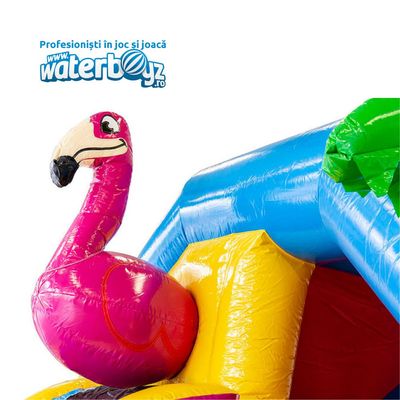 Inchiriere Bouncer Gonflabil Flamingo, pentru perioada de 1-3 luni sau 4-6 luni
