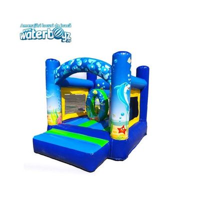 Deep Water Inflatable Castle Rental