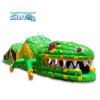 Inflatable Dragon Obstacle Course Rental