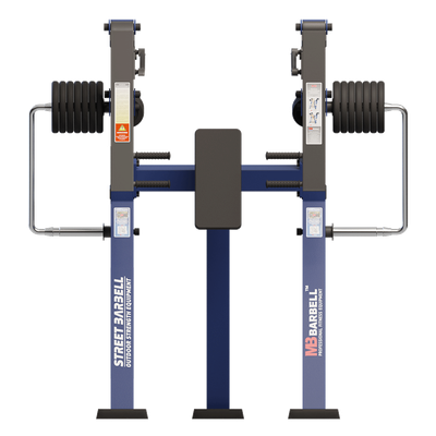 Outdoor chest press Standard