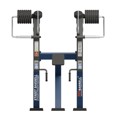 Aparat de fitness pentru spate Standard pentru exterior, 136x188x201 cm, otel inoxidabil
