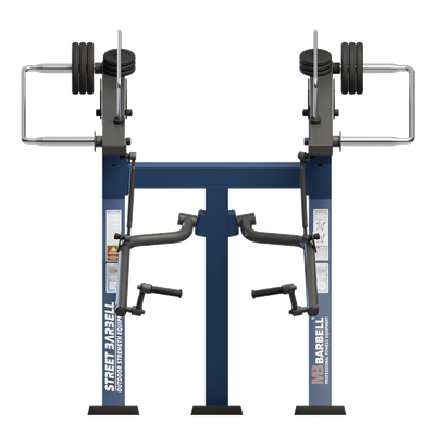 Aparat de fitness pentru biceps pentru exterior, 166x209x204 cm, otel inoxidabil