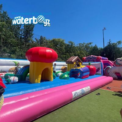 Mushroom Inflatable Playground