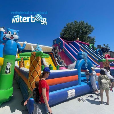 Ocean Life Inflatable Slide