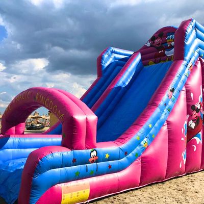 Disney Junior Inflatable Slide with 1 slope Rental