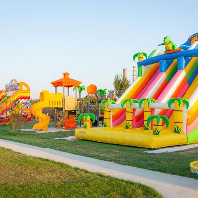 Dino  Inflatable Slide with 2 slope