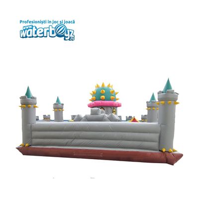 Mario Inflatable Castle 8*8*4
