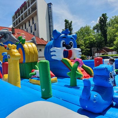 Summer Inflatable  Playground