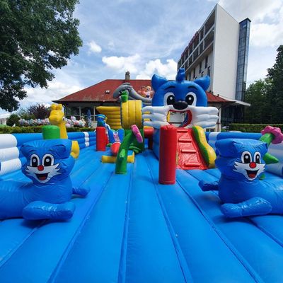 Summer Inflatable  Playground