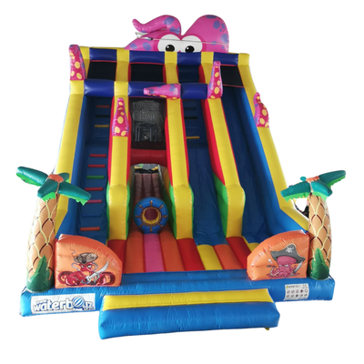 Octopus Inflatable Double Slide