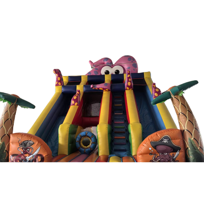 Octopus Inflatable Double Slide